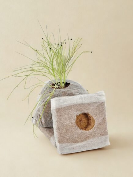 Coir Grow Cubes
