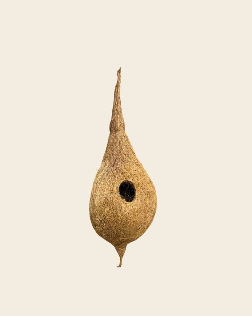 CoirProducts Coir Bird Nest
