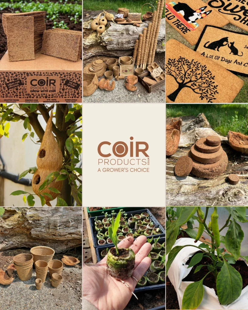 Community over capital: why we choose purpose over popularity at CoirProducts