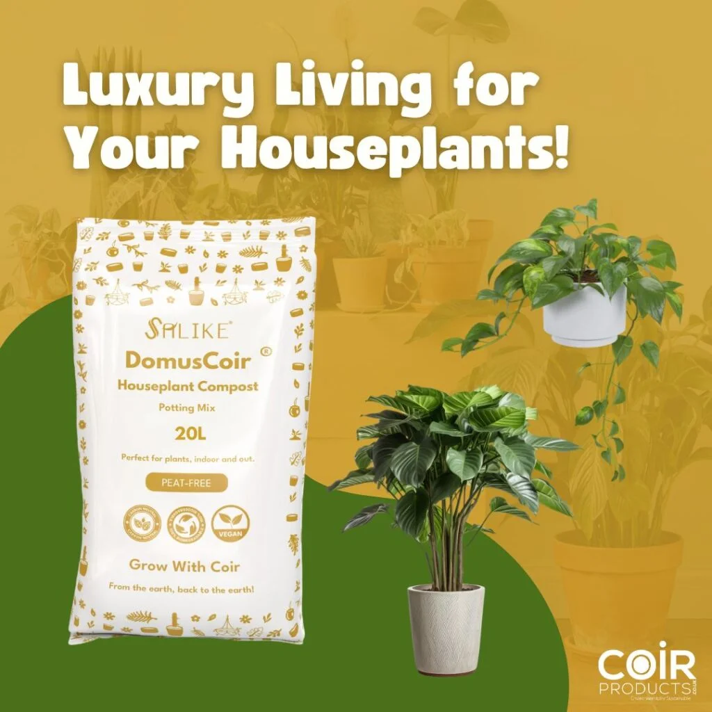 DomusCoir® launches in the UK — an eco-luxury coir compost crafted for houseplants