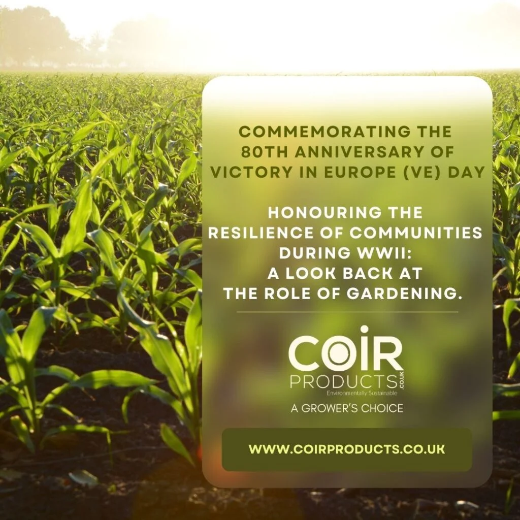 Honouring the resilience of communities during WWI: a look back at the role of gardening