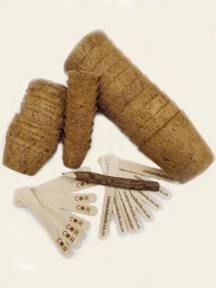 Plastic free pots for sowing