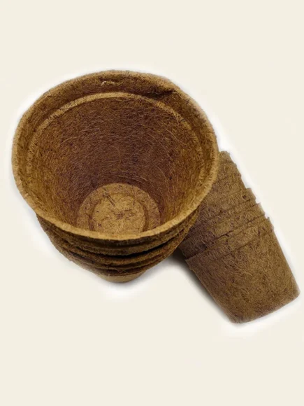 Windowsill coir pots