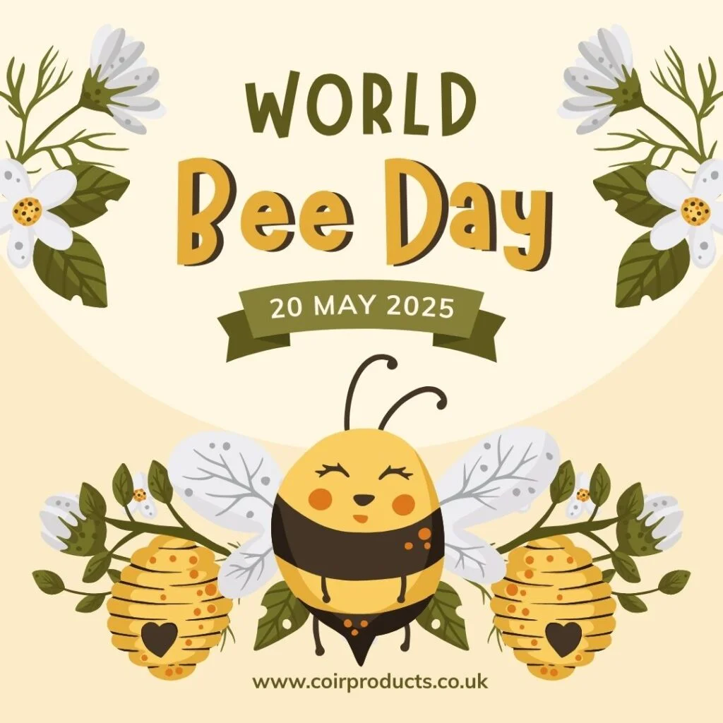 Celebrating World Bee Day: welcoming bees into our gardens