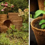 10 reasons to love CoirProducts coir pots and coir hanging baskets