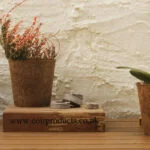 People, products, purpose: here’s what innovation means to us at CoirProducts