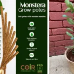 How to use CoirProducts.co.uk growpoles or moss poles
