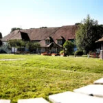 Our support towards Chestnut Tree House