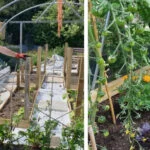 I love how gardening makes you feel