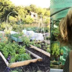 My garden is very much a place for family