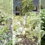 Let the children lead the activities