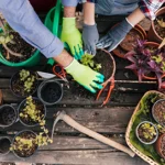 Coir products for growers, greenhouses, nurseries, gardeners, and wholesalers