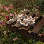 From seed to success: how CoirProducts supports every stage of your gardening journey