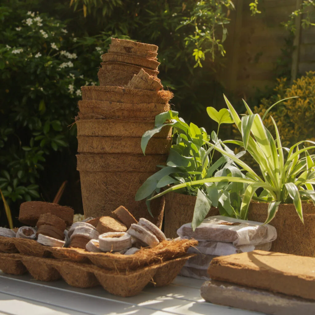 The science behind coir: Why CoirProducts by Salike® is the ultimate sustainable gardening solution
