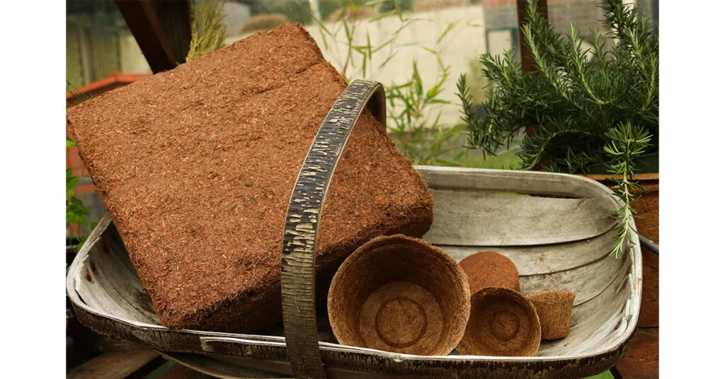 Gardening on a budget with CoirProducts.co.uk