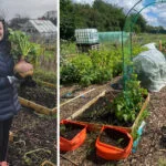 Grower of the month Amanda Learning something new with gardening