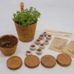 Guide to planting in CoirProducts.co.uk coco pots over winter