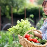 How to plan your vegetable garden