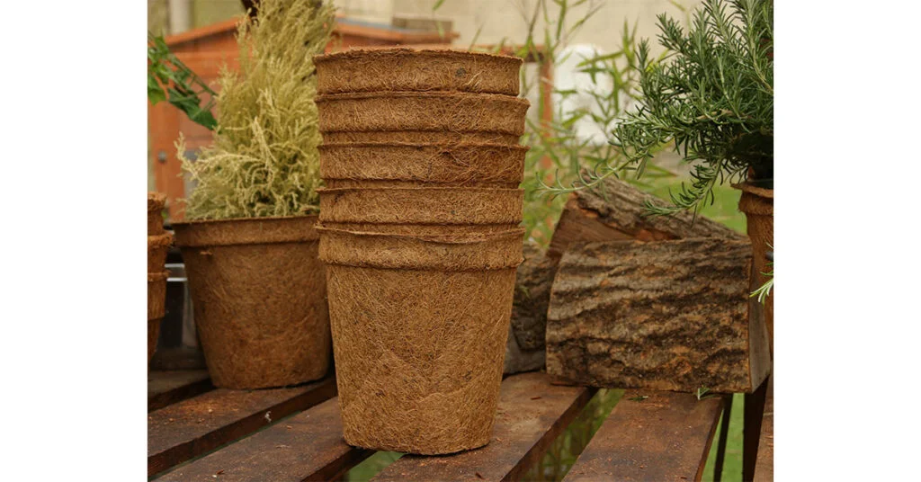 Marking Mental Health Awareness Week 2023