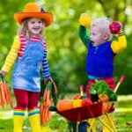 October in your garden with CoirProducts.co.uk