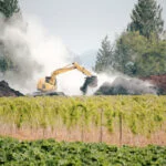 Protecting our peatlands