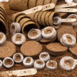 Sowing in spring with CoirProducts.co.uk