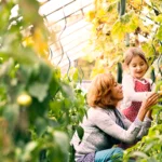 Using your greenhouse in winter