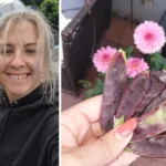 I’ve become a different, better version of myself