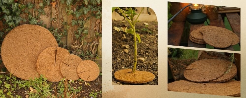 Coir Mulch Mats: The Elegant Solution to Weed Control and Plant Care